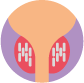 Low dose rate brachytherapy icon