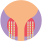 High dose rate brachytherapy icon