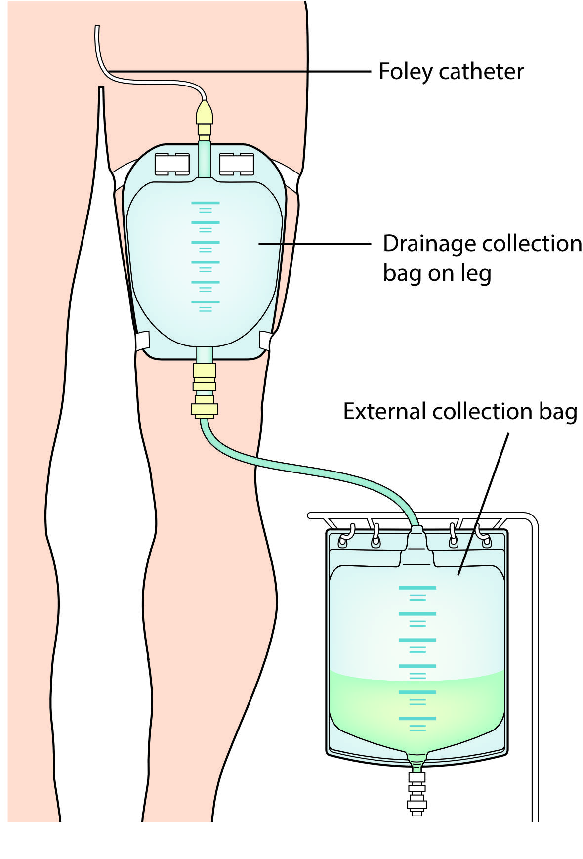 Day bag attached to night bag