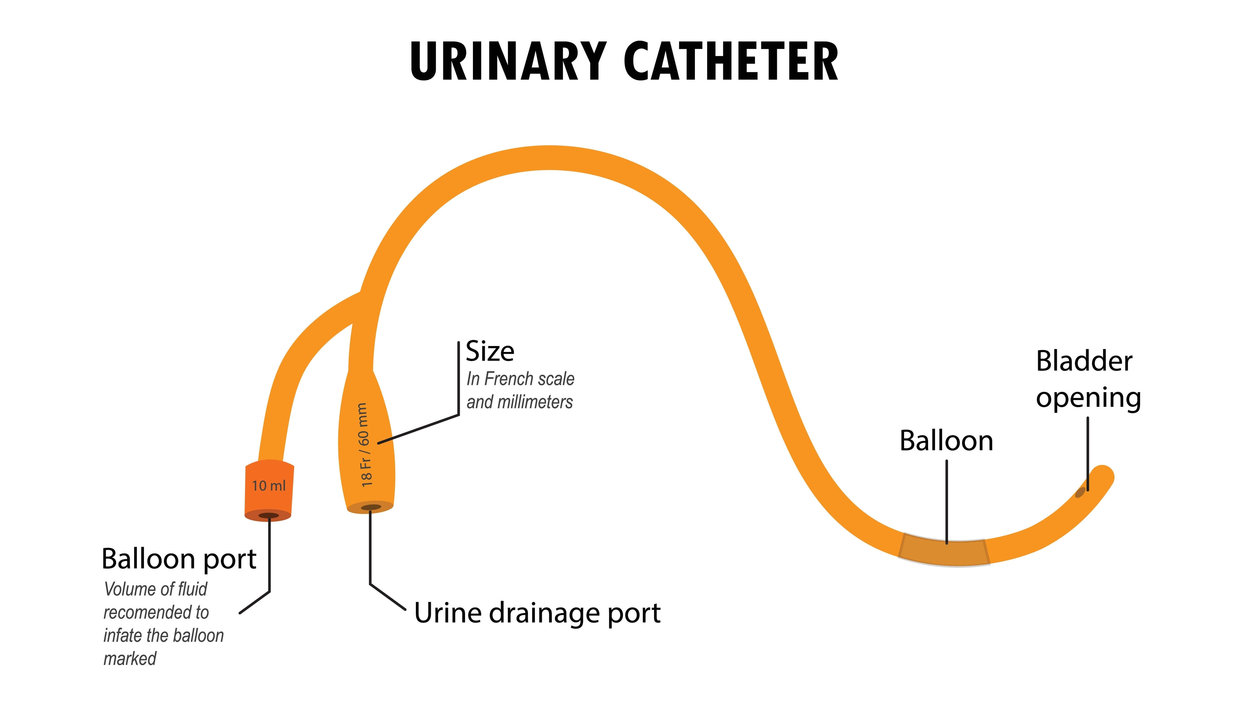 Urinary catheter tube diagram