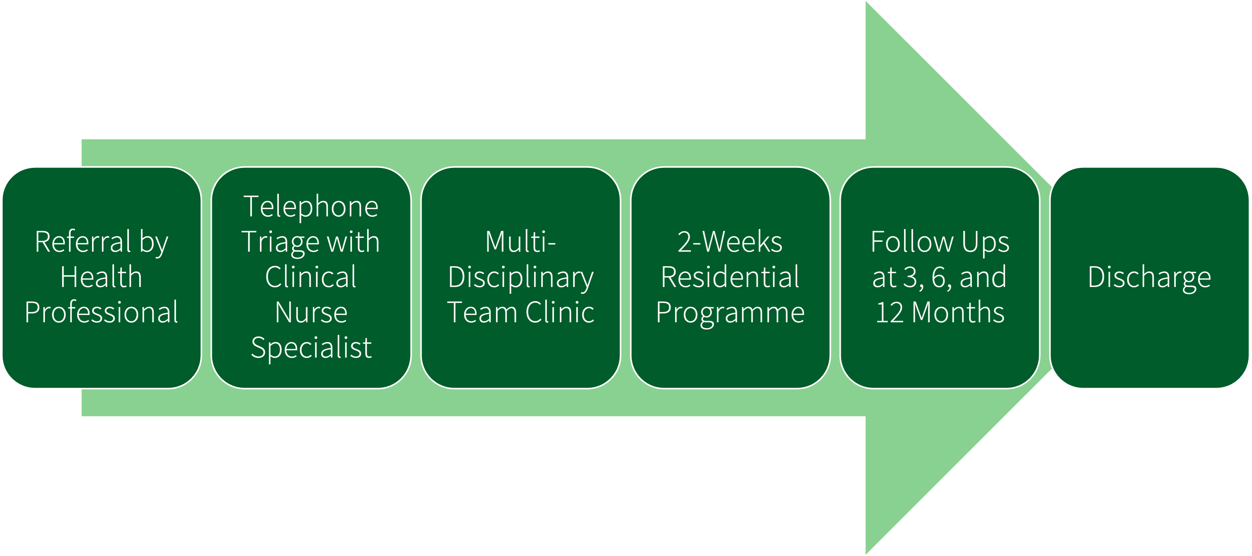 Pathway of referral to CCLERS