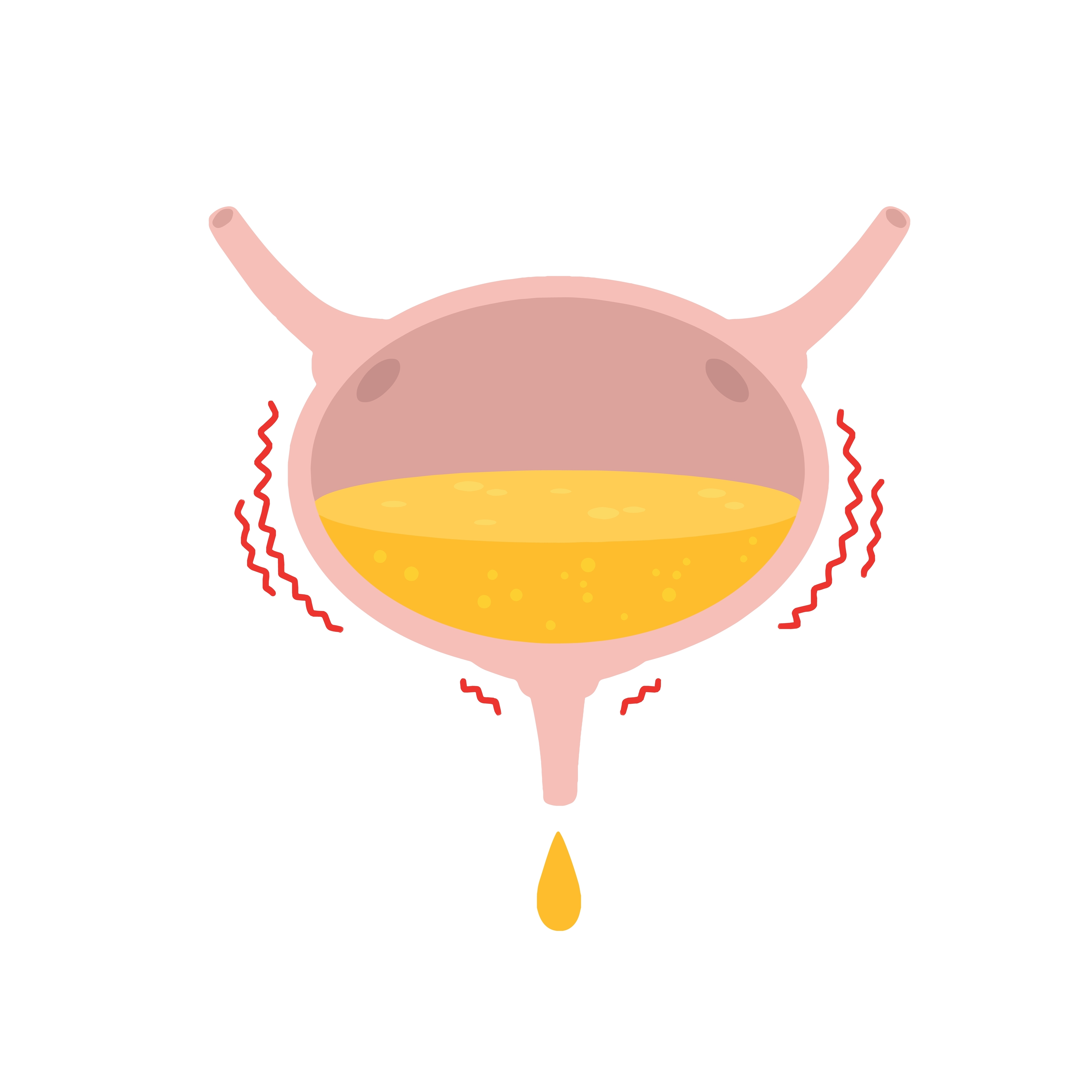 Illustration of a bladder leaking a drip of pee